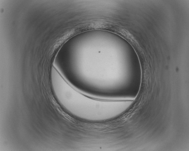 X0000062170393200512091056