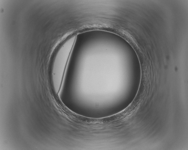 X0000062170395200512091056