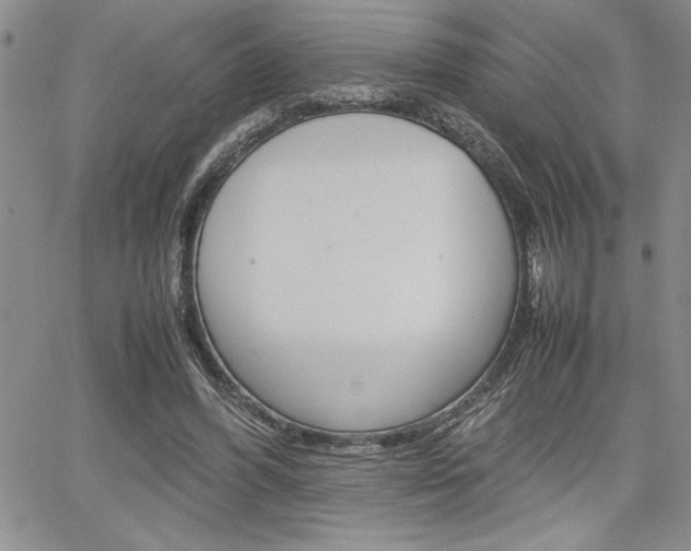 X0000062170396200512091056