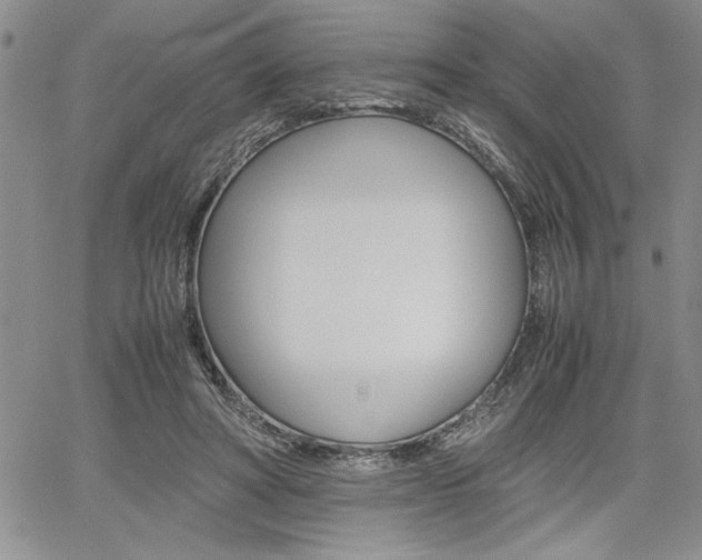 X0000062170402200512091056
