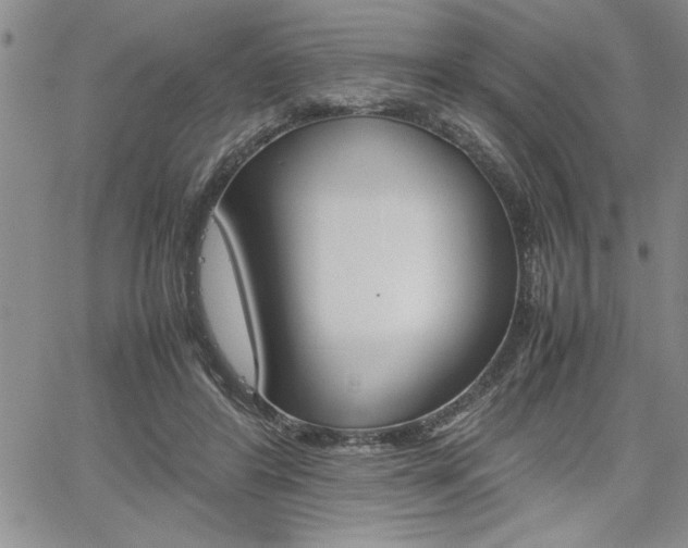 X0000062170404200512091056