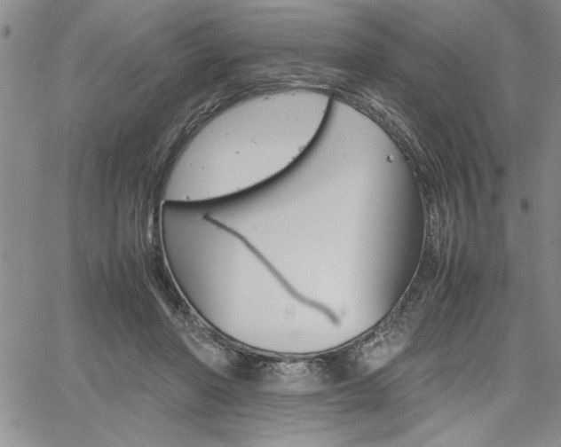 X0000062170406200512091056