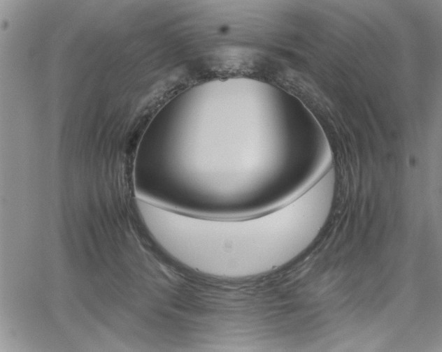 X0000062170416200512091056