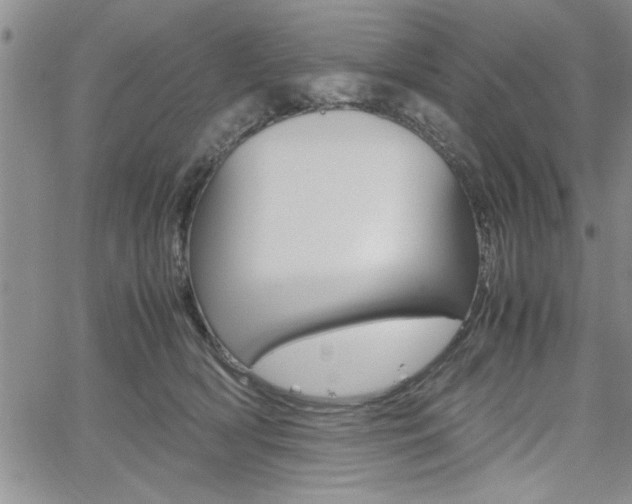 X0000062170418200512091056