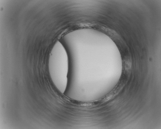 X0000062170422200512091056