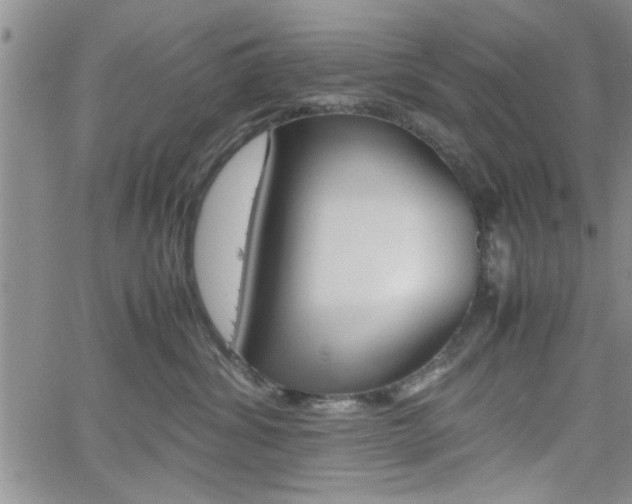 X0000062170428200512091056