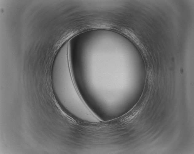 X0000062170433200512091055