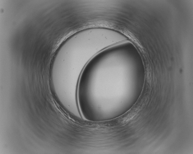 X0000062170434200512091055