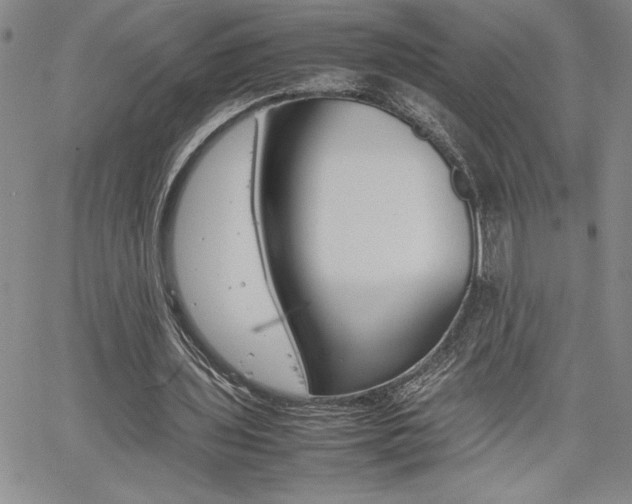 X0000062170435200512091055
