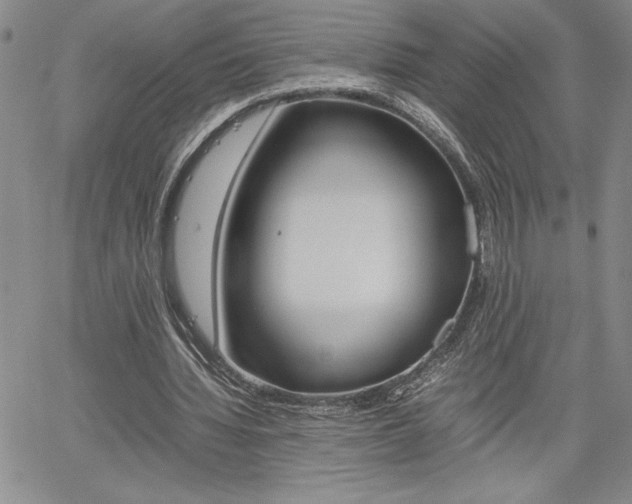 X0000062170436200512091055