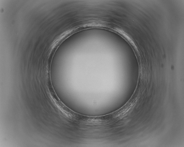 X0000062170437200512091055