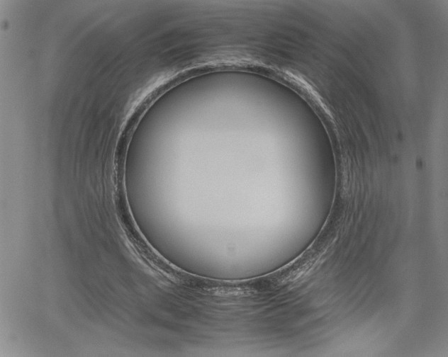 X0000062170439200512091055