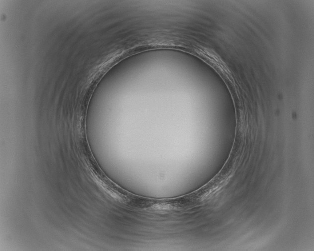 X0000062170441200512091055