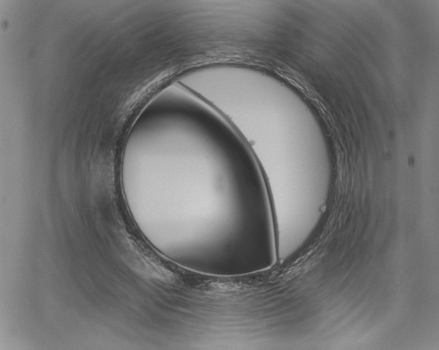 X0000062170442200512091055