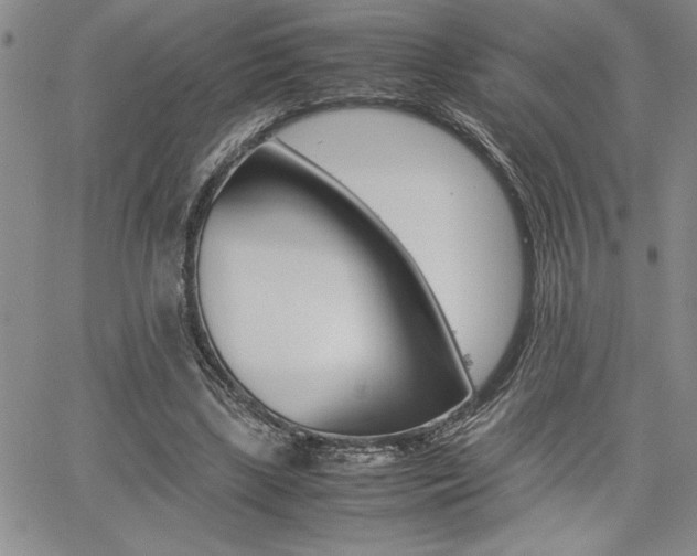 X0000062170443200512091055