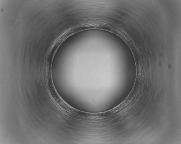 X0000062170444200512091055