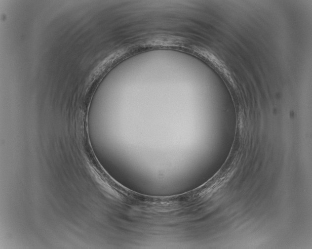 X0000062170445200512091055