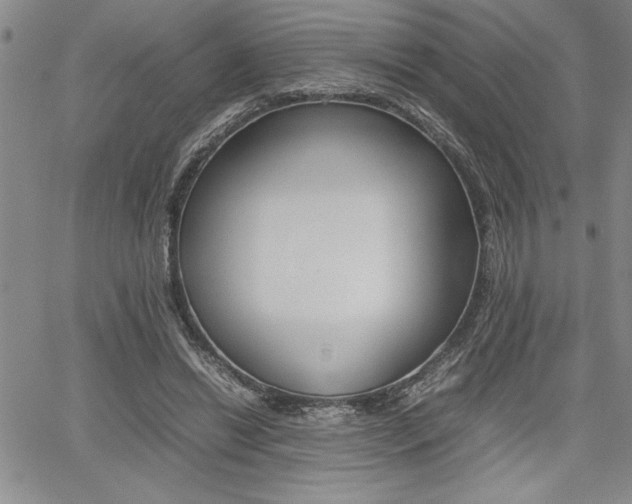 X0000062170446200512091055