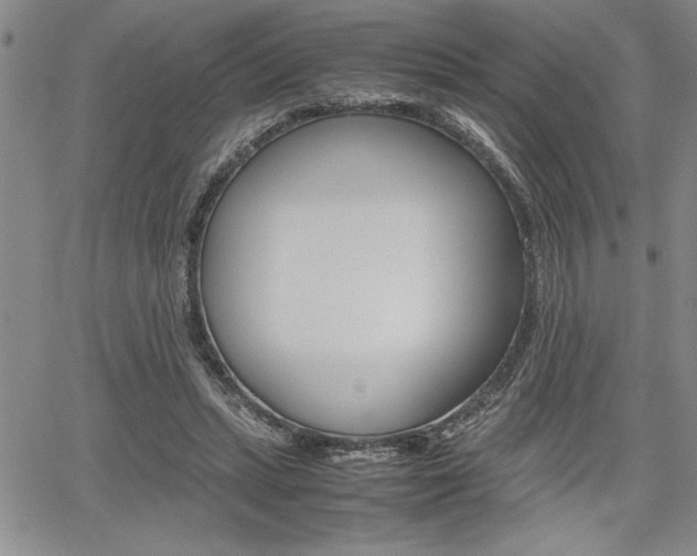 X0000062170447200512091055