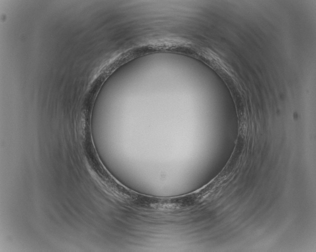 X0000062170448200512091055