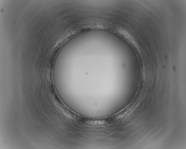 X0000062170449200512091055