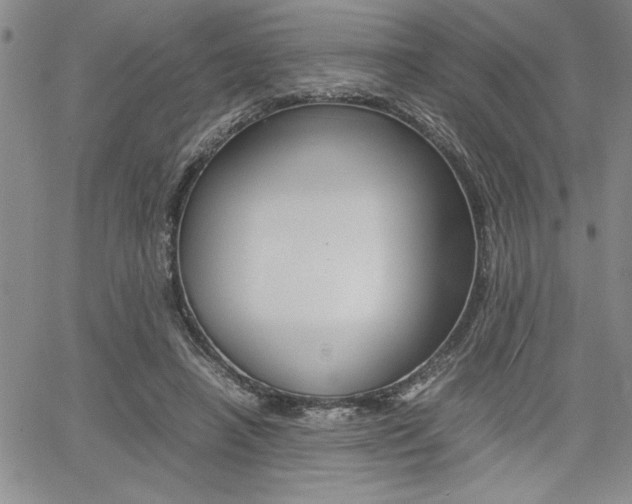 X0000062170450200512091055