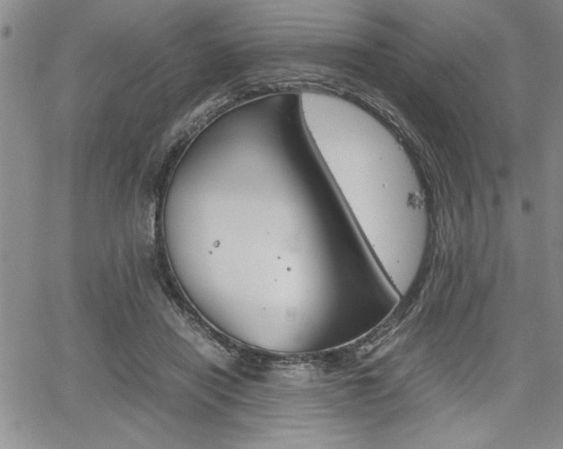 X0000062170454200512091055