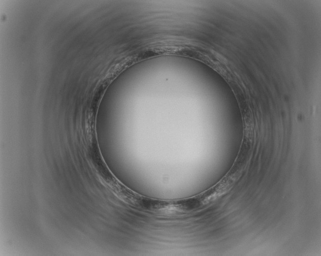 X0000062170460200512091055