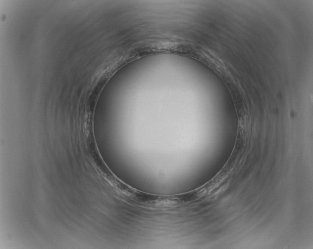 X0000062170462200512091055