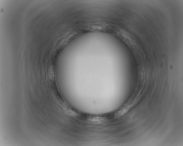 X0000062170467200512091055