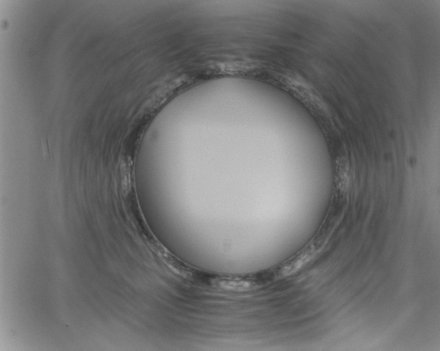 X0000062170471200512091055
