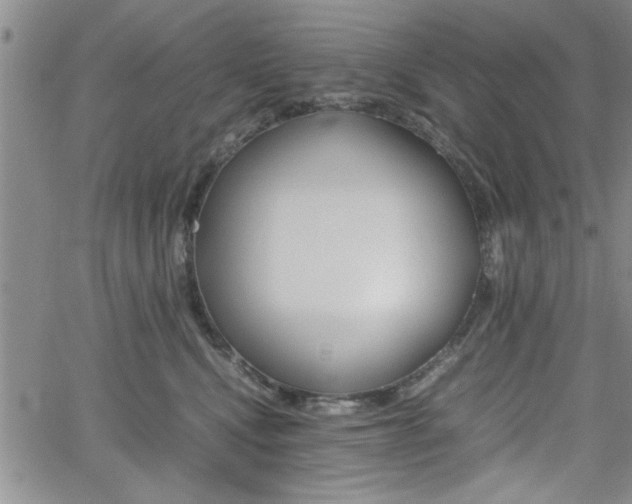 X0000062170472200512091055