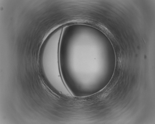 X0000062170484200512091055