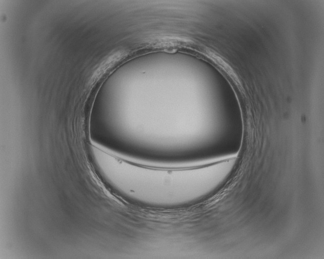 X0000062170485200512091055
