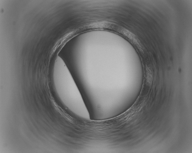X0000062170486200512091055