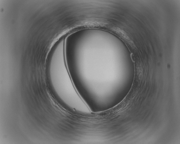 X0000062170488200512091055
