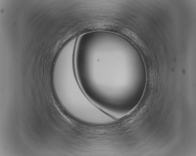 X0000062170489200512091055