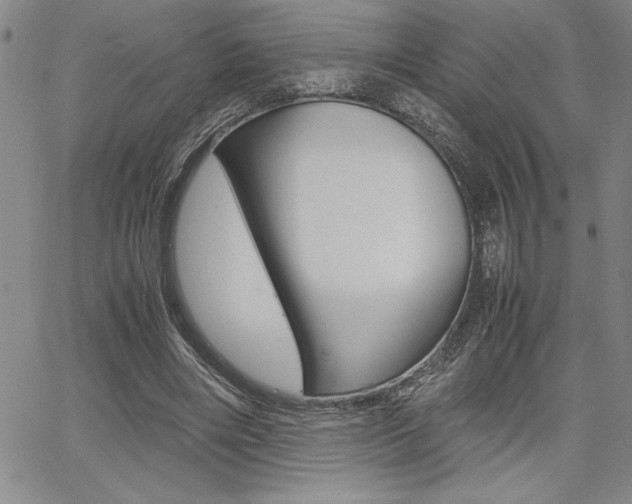 X0000062170490200512091055