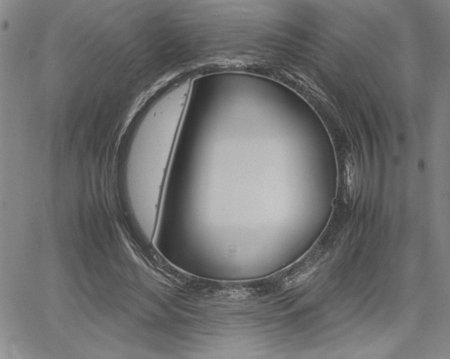 X0000062170492200512091055