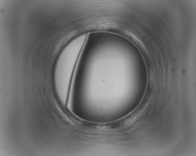 X0000062170493200512091055