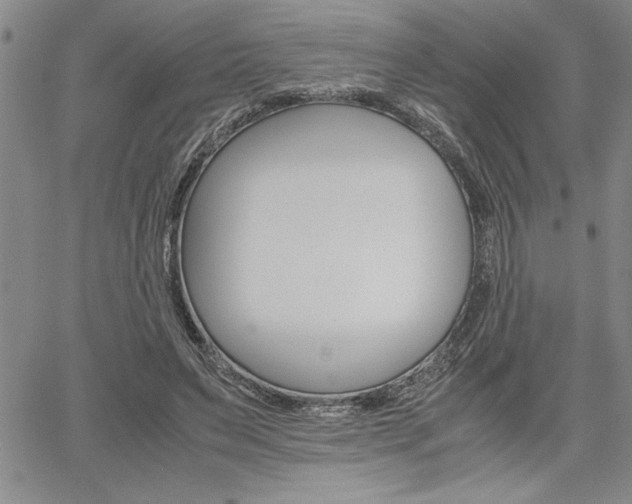 X0000062170495200512091055