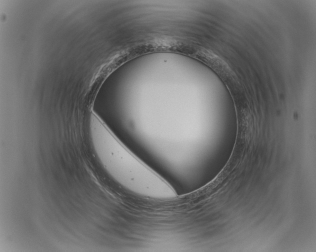 X0000062170496200512091054