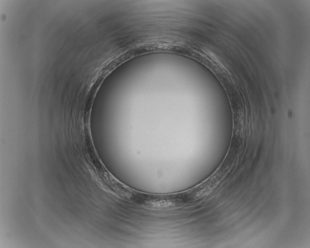 X0000062170500200512091054