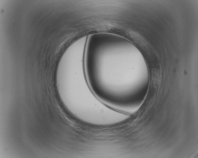 X0000062170501200512091054