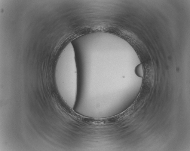 X0000062170502200512091054