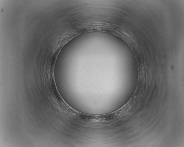 X0000062170504200512091054