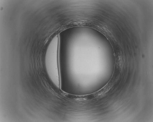 X0000062170508200512091054