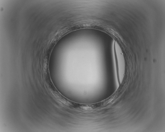 X0000062170509200512091054