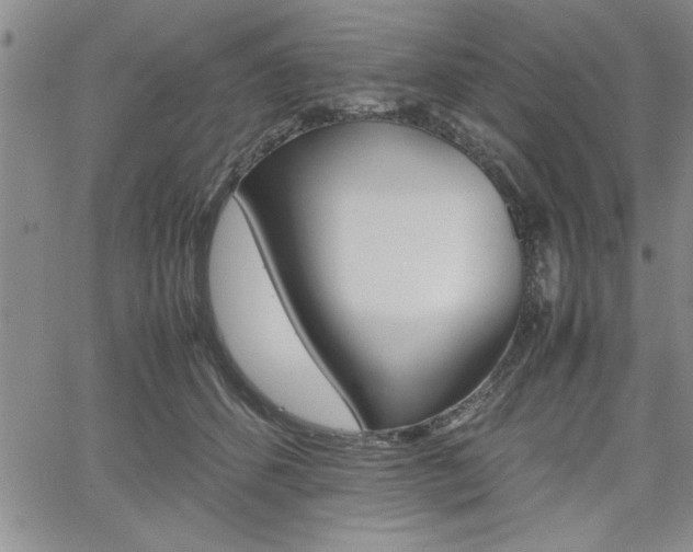 X0000062170512200512091054