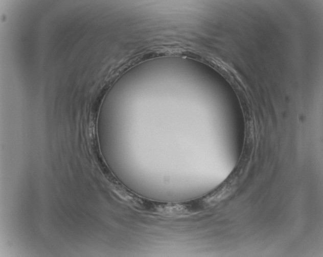 X0000062170517200512091054